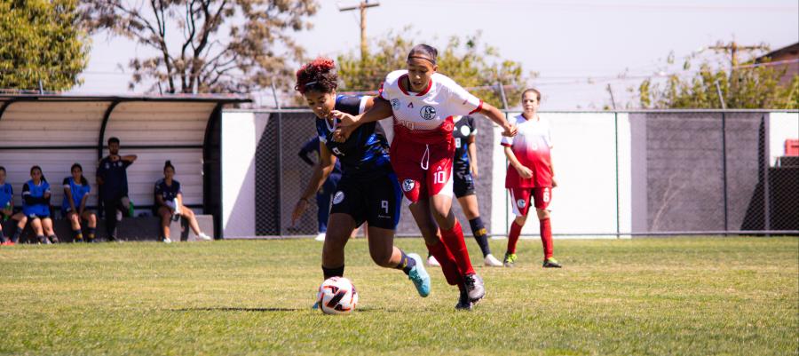 Feminino Sub-15 chega à metade com equilíbrio na tabela